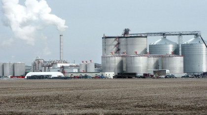 Ethanol producers offer rare hope as FX earnings dip
